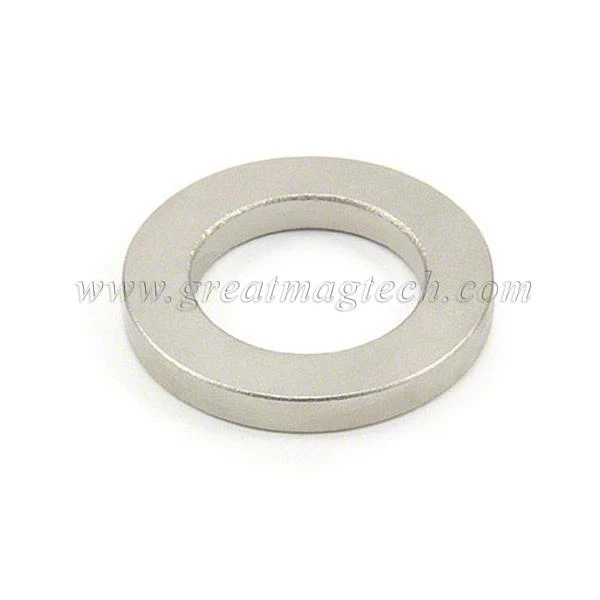 ring magnet / neodymium magnet / NdFeb magnet